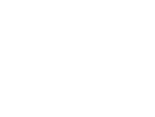 BMC Logo Outline